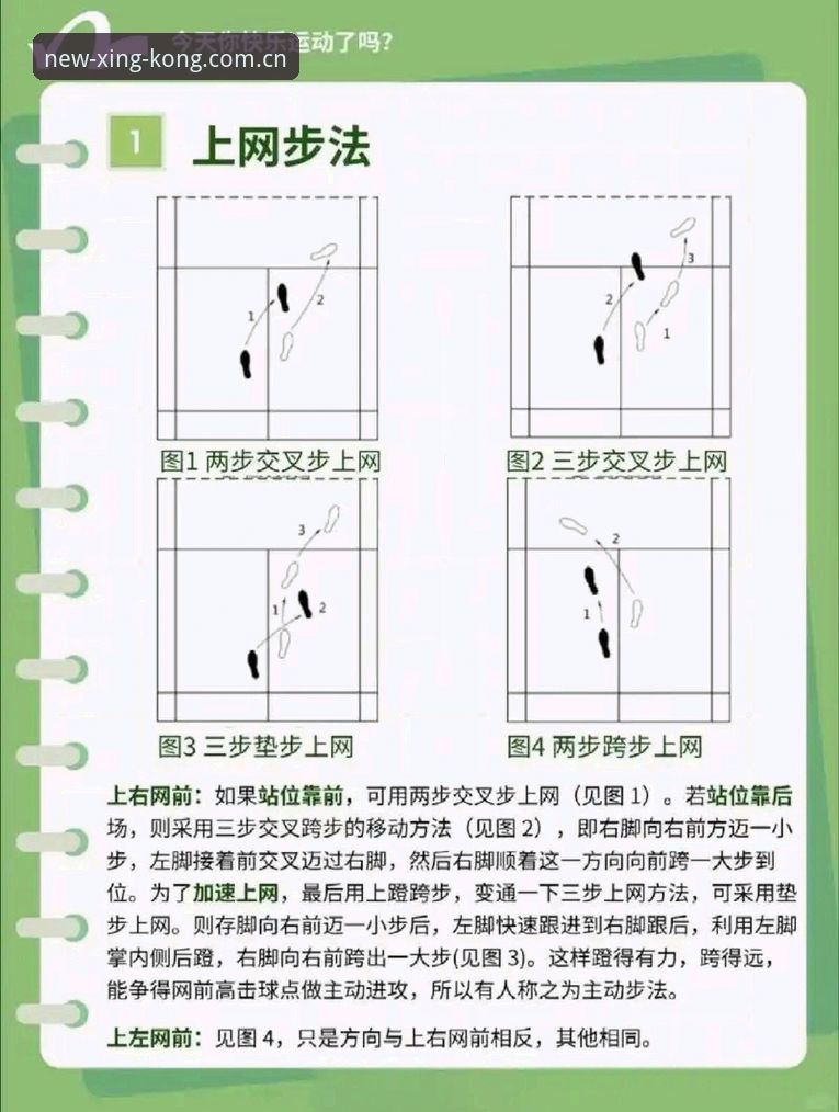 星空体育APP体育赛事教程 星空体育APP体育赛事教程全面解析:从新手到达人的实操指南